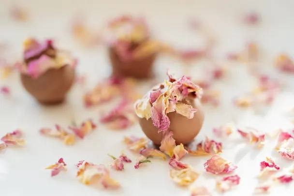 Casino Generation VIP Application Android/iOS